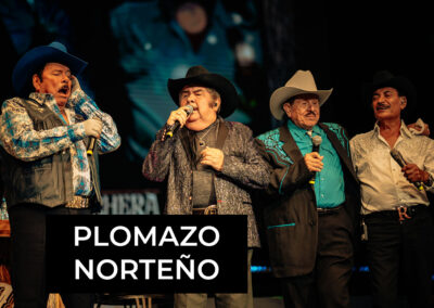 Palomazo Norteño